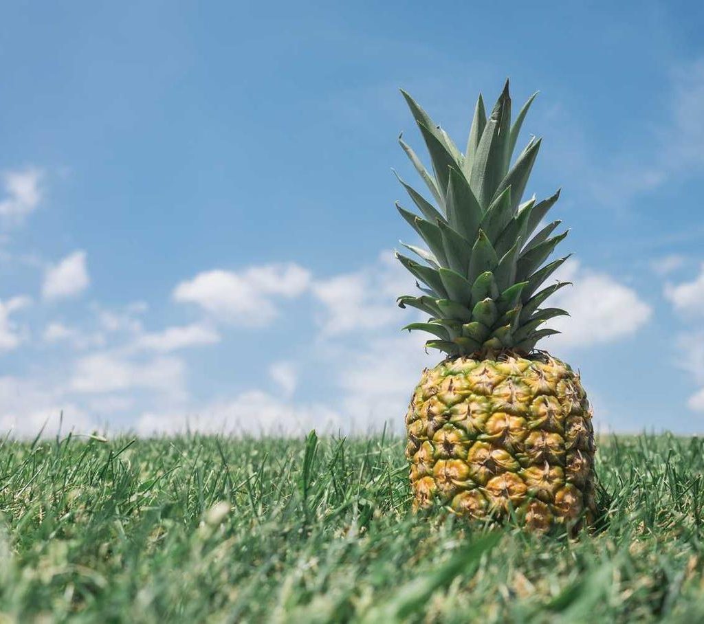 Enim sint nobis voluptatem